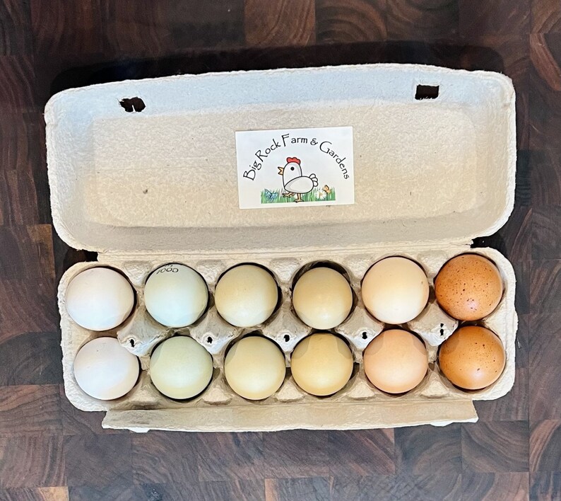 Freeze Dried Organic Eggs Whole Raw Egg Powder Farm Fresh Etsy