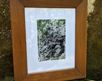 Deep Lichen 5x7 in, black and white, sliver gelatin print, mushroom, Texture, handmade, wall art, High contrast