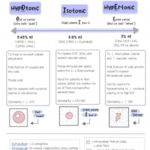 Isotonische hypotonische hypertonische Flüssigkeitslösungen