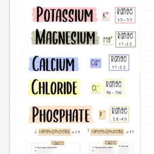 Electrolyte Bundle