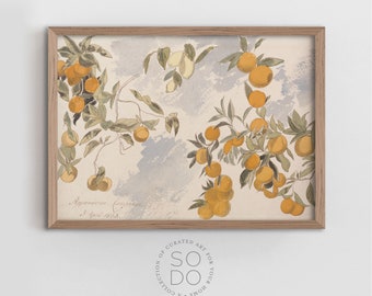 Kitchen Art Print, Vintage Lemon Painting, Kitchen Shelf Decor, Vintage Botanical Wall Art | SKU 571