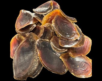 Onycha, Dufr  - Hand-Cleaned & Ready for Use.