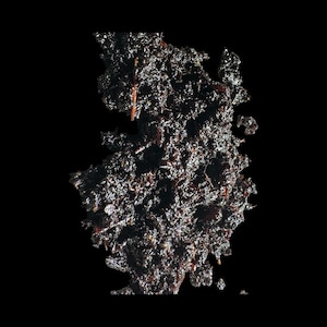 May include: Close-up of a dark, textured substance against a black background. The substance appears to be a clump of soil or organic matter, with varying shades of brown and black. The texture is rough and uneven, with small particles visible.