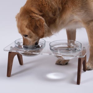 Peut inclure: Un chien golden retriever mangeant dans un bol double surélevé en acrylique transparent avec des pieds en bois. Les bols sont surélevés du sol.