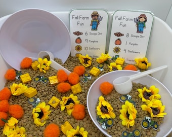 Fall Farm | Pumpkin Patch | Sensory Bin | Preschool Classroom Game | Homeschool Learning | Counting Preschool Games