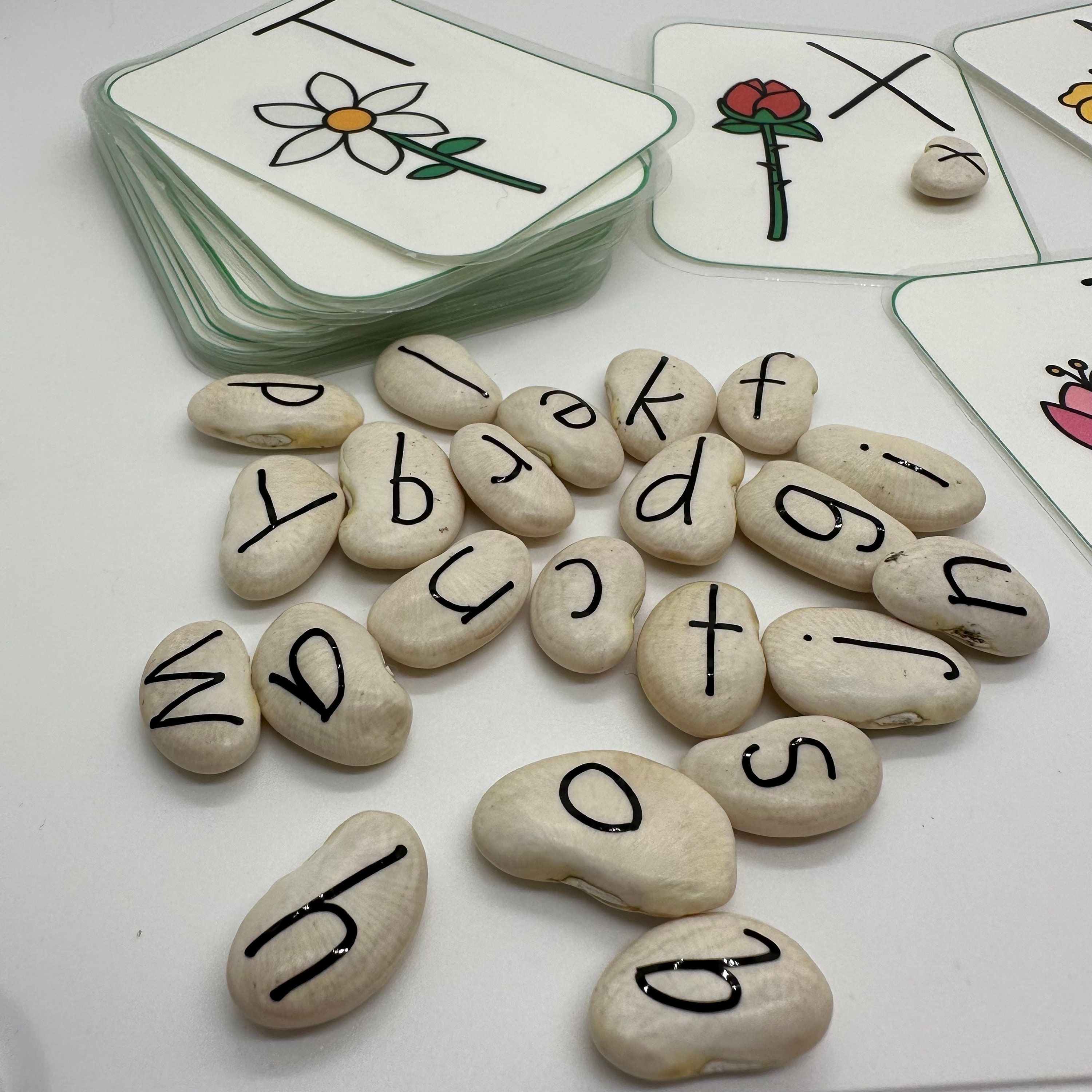Flower Seed Letter Match | Capital Lowercase Letter Matching Game ...