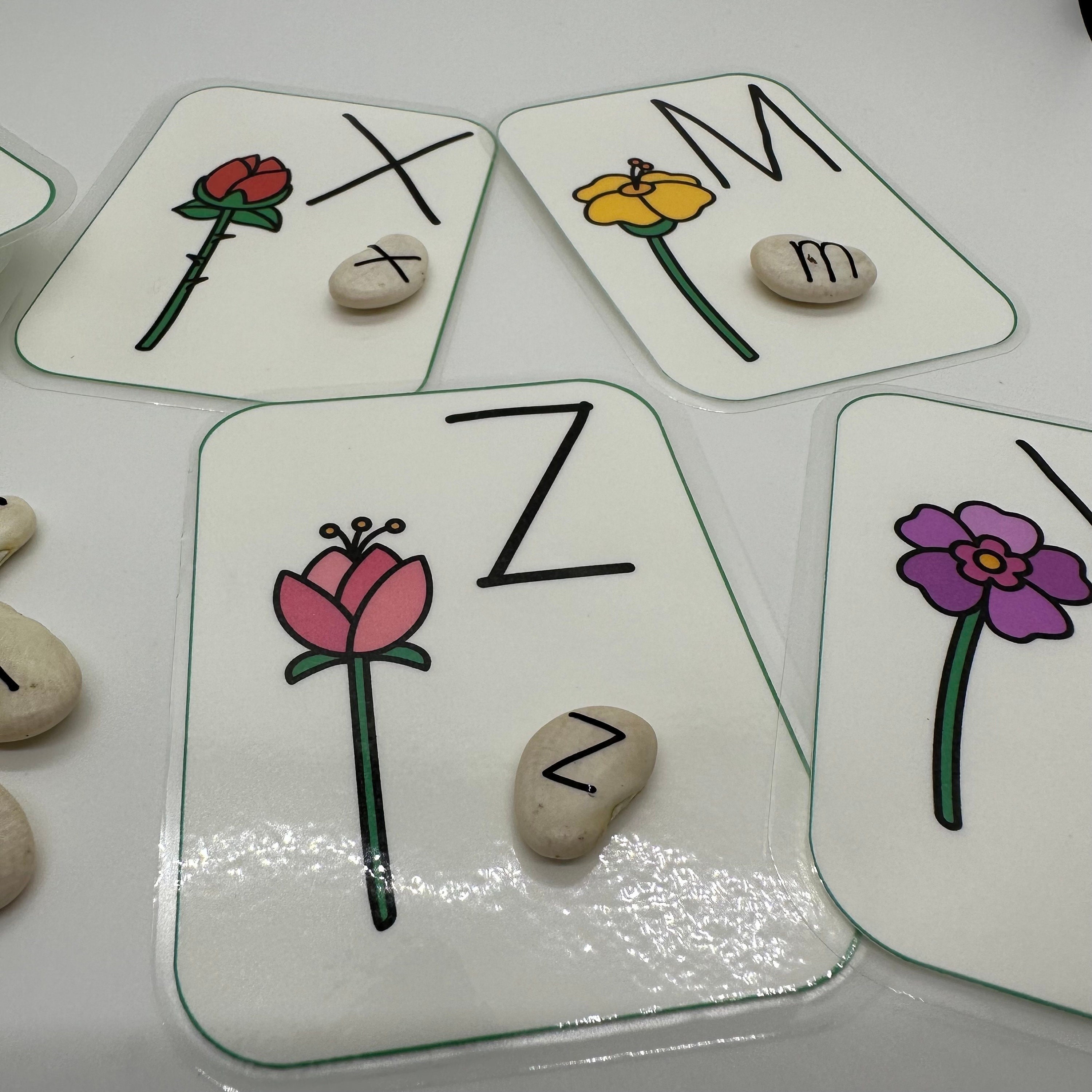 Flower Seed Letter Match | Capital Lowercase Letter Matching Game ...