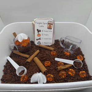 May include: A sensory bin with a pumpkin spice latte theme. It includes a clear plastic cup with brown filler, orange pumpkin beads, cinnamon sticks, and white scoops. A card lists ingredients: 6 scoops of coffee, 5 pumpkins, 1 cinnamon stick, and whipped cream.