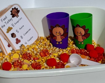 Feed the Turkey Sensory Bin  | Sensory Bin | Preschool Thanksgiving Game | Homeschool Learning | Counting Preschool Games