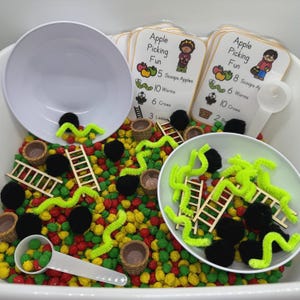 May include: A sensory bin with colorful beads, two white bowls, and cards that say "Apple Picking Fun." The bin includes small ladders, black pom-poms, green pipe cleaners, and miniature baskets. A white scoop is also present.