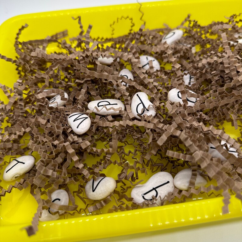 Flower Seed Letter Match | Capital Lowercase Letter Matching Game ...