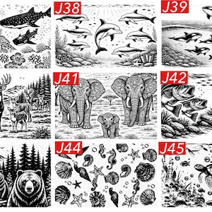 May include: A collection of nine black and white illustrations labeled J37 through J45, featuring various nature scenes including sharks, dolphins, orcas, deer, elephants, fish, bears, seashells, and a sea turtle in detailed graphic art styles.