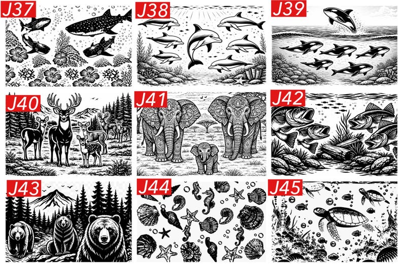 May include: A collection of nine black and white illustrations labeled J37 through J45, featuring various nature scenes including sharks, dolphins, orcas, deer, elephants, fish, bears, seashells, and a sea turtle in detailed graphic art styles.