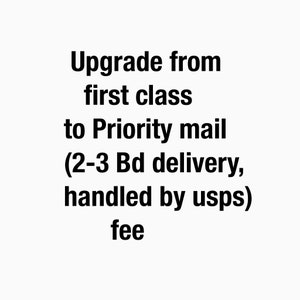 May include: Upgrade from first class to Priority mail (2-3 business day delivery, handled by USPS) fee.