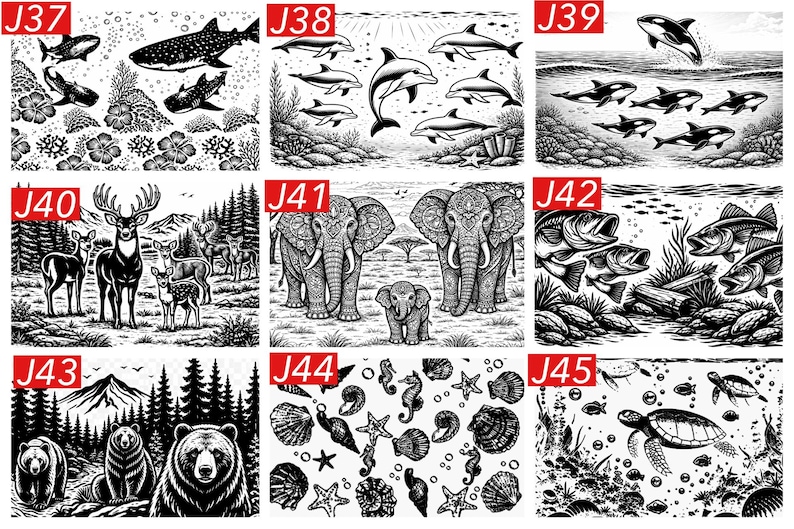 May include: A collection of nine black and white illustrations labeled J37 through J45. The images feature various scenes including sharks, dolphins, orcas, deer, elephants, fish, bears, seashells, and a sea turtle in detailed graphic line art.