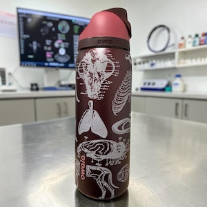 May include: A dark maroon Owala water bottle featuring white anatomical illustrations of a skull, lungs, brain, and skeletal structures. The bottle has a dark brown lid with a pink flip-top cap and the brand name Owala printed in white near the base.