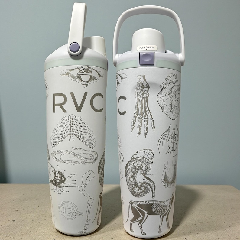 May include: Two white water bottles featuring gray anatomical illustrations of skeletal structures, organs, and animal anatomy. The bottles have white carrying handles, light purple accents, and a push button mechanism with the text Push Button.
