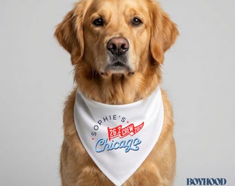 Pañuelo personalizado para perros del día de la carrera Chicago 26.2, compañero de carrera personalizado, cachorro corredor de la Ciudad de los Vientos, equipo de apoyo canino, accesorio para mascotas del fin de semana del maratón