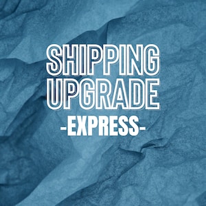 EXPRESS (2 day delivery) SHIPPING UPGRADE, Add this onto an Adult Short Sleeve T-shirt order for the fastest shipping option from this shop!