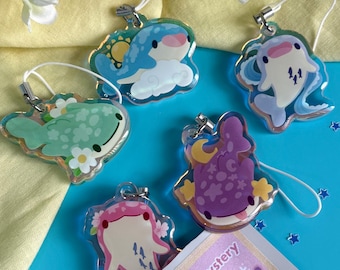 Whale Shark Rainbow Acrylic Mystery Phone Charm