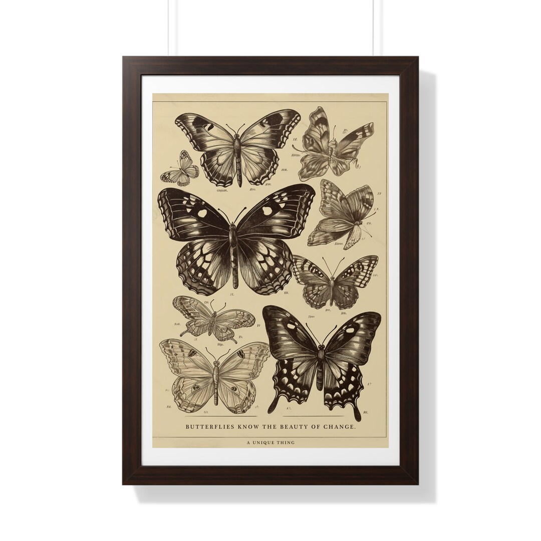 Vintage Butterflies - Butterfly Art, Vintage Butterfly Print, Wall Art, Home Decor, Farmed ...