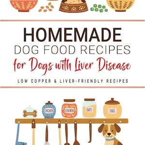 以下が含まれることがあります： 「HOMEMADE DOG FOOD RECIPES for Dogs with Liver Disease」の表紙イラスト。食べ物、野菜、鶏肉とオートミールと書かれた瓶が入ったボウルが描かれています。漫画の犬がフードボウルの近くに座っています。著者の名前はジャネット・ジョンズです。