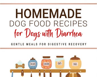 Homemade Dog Food Recipes for Dogs with Diarrhea . Gentle Meals for Digestive Recovery