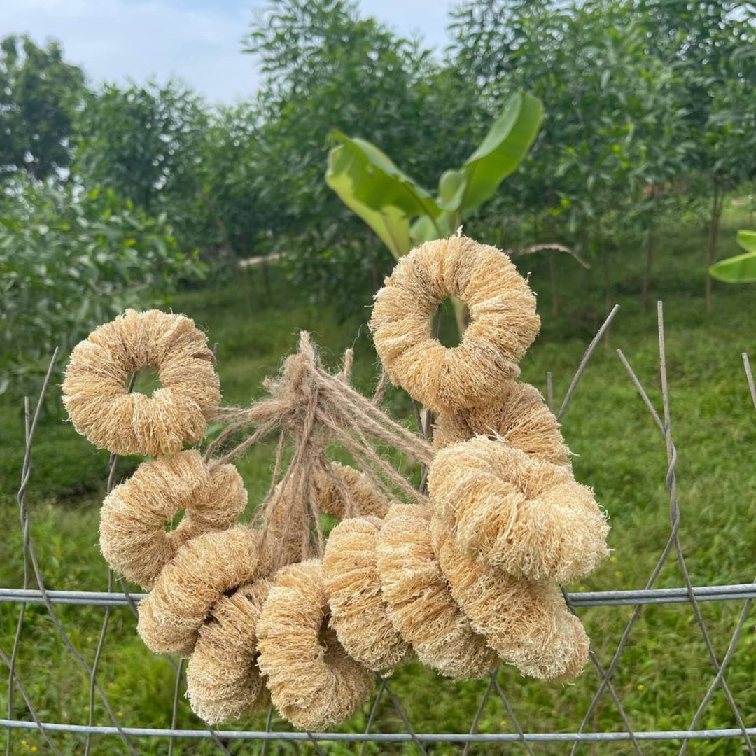 Whole Loofah Natural Loofah Sponge Zero Waste Antibacterial Etsy