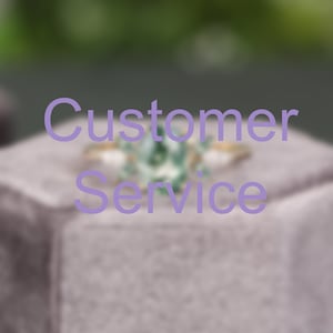 Customer Service