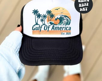 Embroidered Metal Font NPR Hat National Public Radio Dad Hat