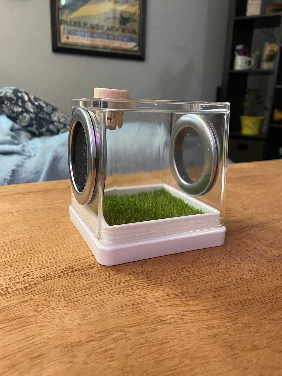 4x4x4 Jumping Spider Enclosure Etsy