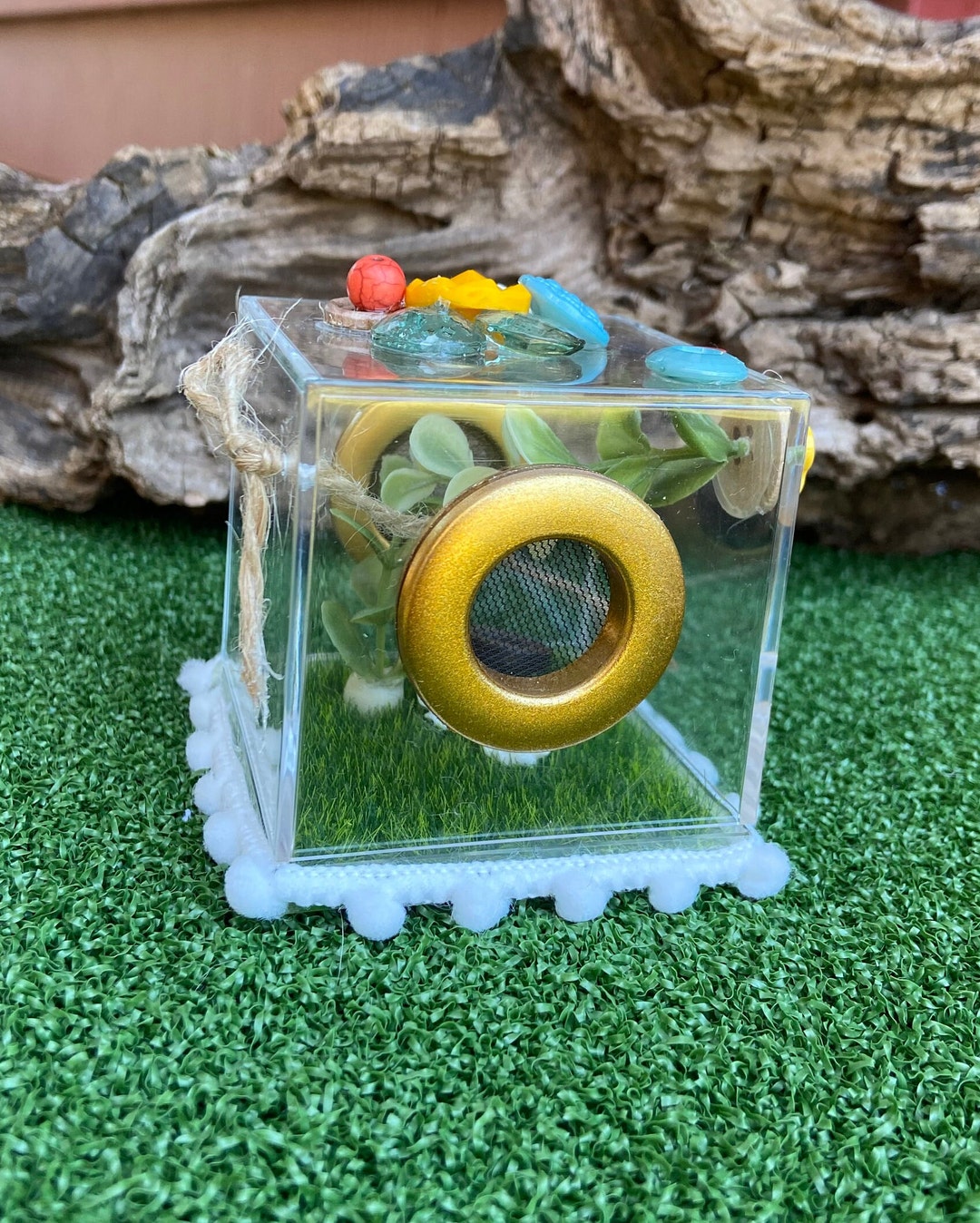 FOR SARAH :) Decorated 2.6 X2.6 X2.6 Acrylic Cube, With Mesh and ...