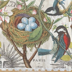 2 Decoupage napkins, Bird Nest , 13&quot; x 15.5&quot; Unfolded  Buffet Size