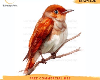 10 Sparrow clipart watercolor, sparrow bird images, nightingale images, printable watercolor clipart bundle, paper Craft, Junk Journals