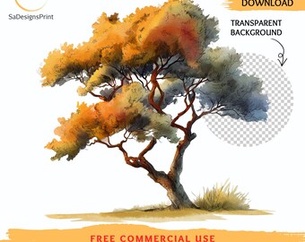 Watercolor Autumn Oak Tree Clipart, Transparent Background (08 JPG/PNGs) Digital Download