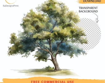 Watercolor Oak Tree Clipart, Family Tree Art (12 JPG/PNGs) (Digital Download)
