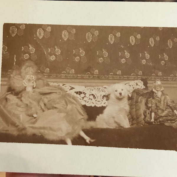 Rare Antique French RPPC postcard real photo postcard boudoir dolls and fluffy dog