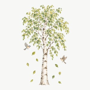 May include: A watercolor illustration of a birch tree with a white trunk and black horizontal markings. The tree has green leaves and two small birds flying near the branches. Several individual green leaves are falling around the tree trunk.