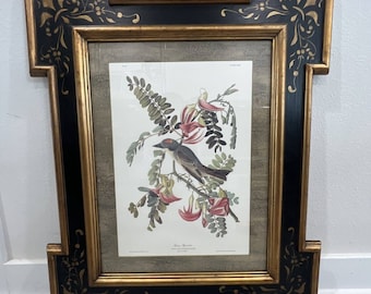 JJ Audubon Pipiry Flugsnappare nr 34 Specialdesignad Bassett Inramad 34,5 x 28,5