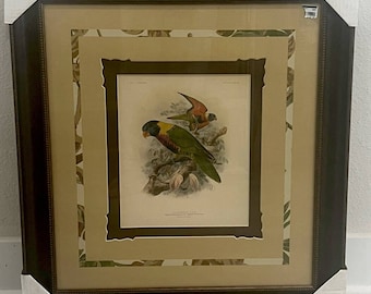 Rosenbergs Lory-tryck av G. Mivart och J.G. Keulemans (1896) Inramad