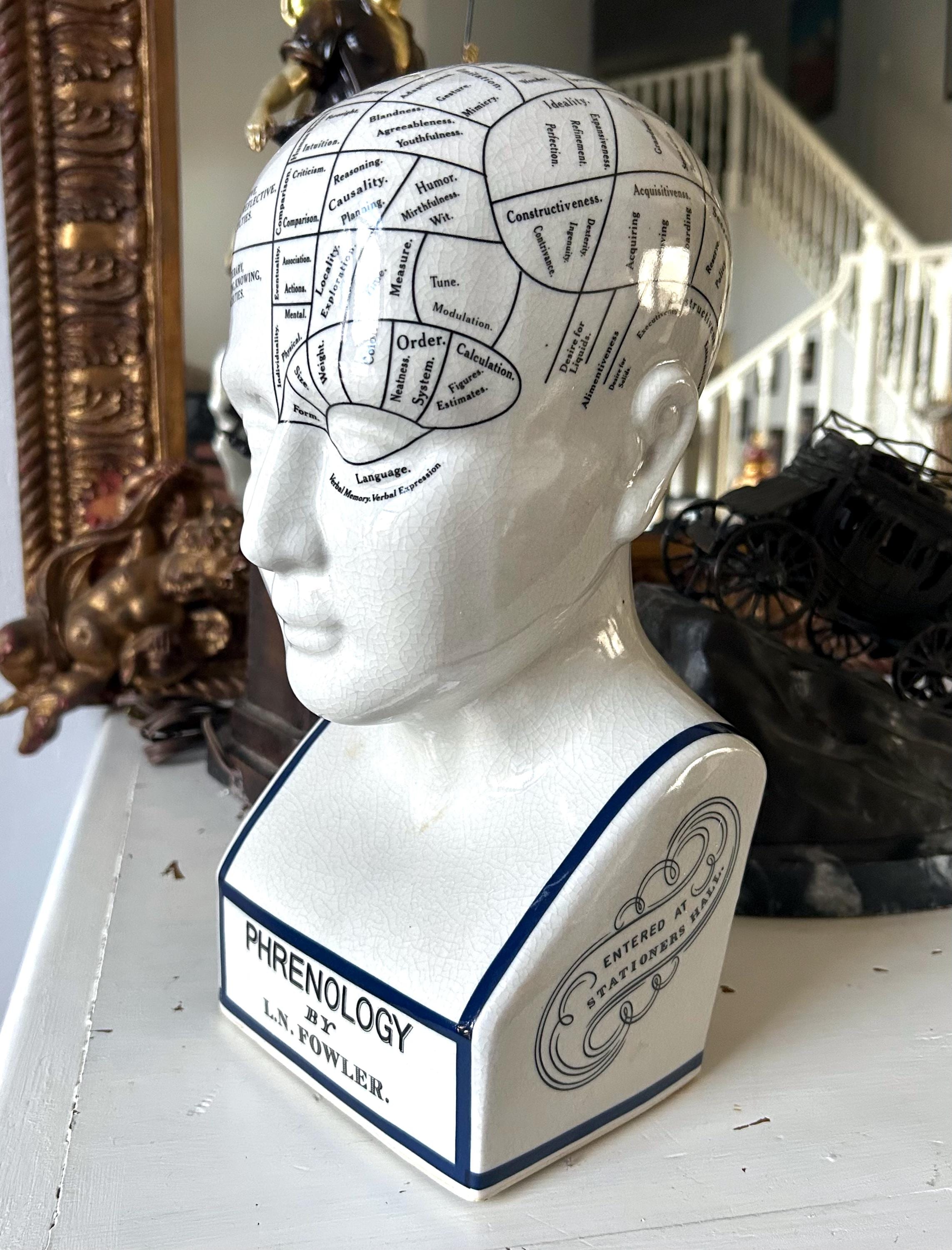 Phrenology Head 骨相学 頭部模型 陶器製 アンティーク Phrenology Head Figurine - Etsy