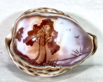 Hand Carved Tiger Cowrie Seashell Sunset and trees
