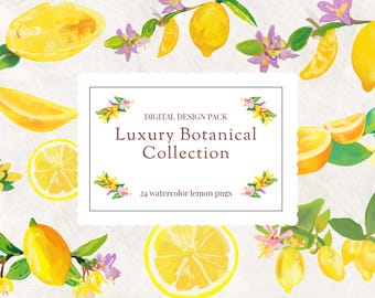 Watercolor Lemon Clipart Bundle, Citrus Floral Illustrations (PNG)
