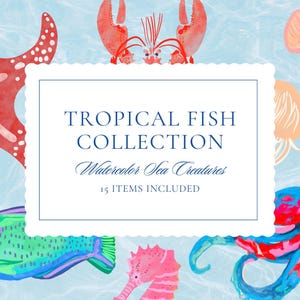 Bundle de cliparts poissons tropicaux, ensemble de 15 PNG, dessins de l'océan, poisson coloré, créatures marines, clipart sous-marin de l'océan, collection de cliparts océan