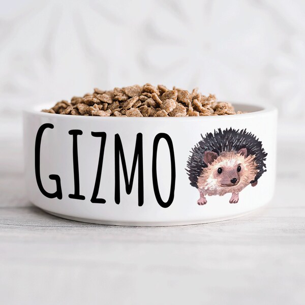 Ceramic Hedgehog Etsy