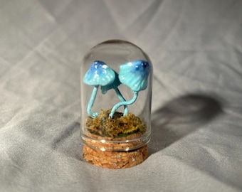 May include: A glass jar with a cork lid contains two blue and white mushrooms with a green moss base.