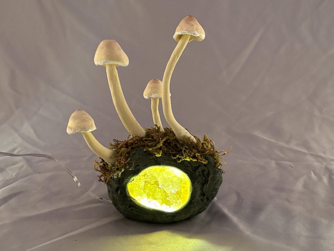 Hand Sculpted Mushroom Geode Night Light: Clear Quartz Crystal Lamp - Etsy