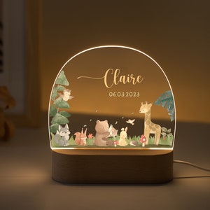 Customized name night light for baby, luminous animal acrylic night lamp, baby room decor lamp, gift for baby baptism, baby birth gift