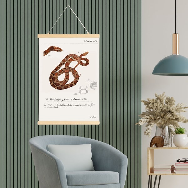 Affiche Zoologique Pantherophis guttatus avec baguettes, serpent des blés, poster reptile, cadeau amoureux des reptiles, affiche serpent.