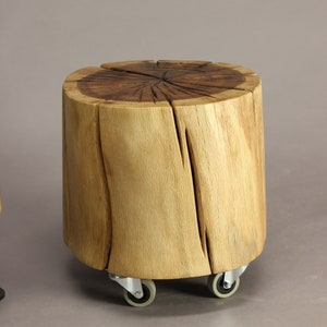 Stool/design chair